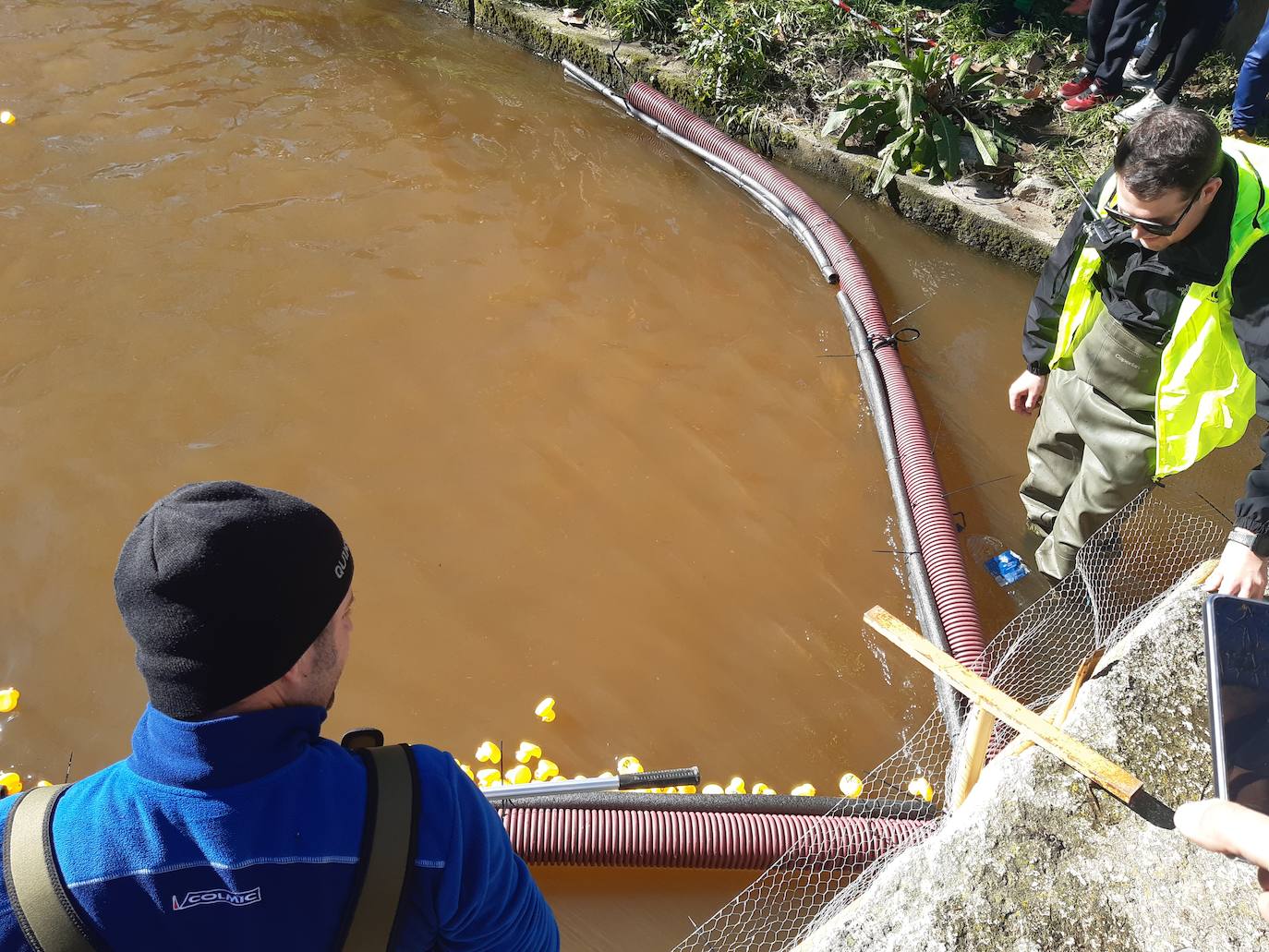 Imagen secundaria 2 - Gran expectación y casi 800 apuestas en la I Carrera de patos de goma en Casar de Cáceres
