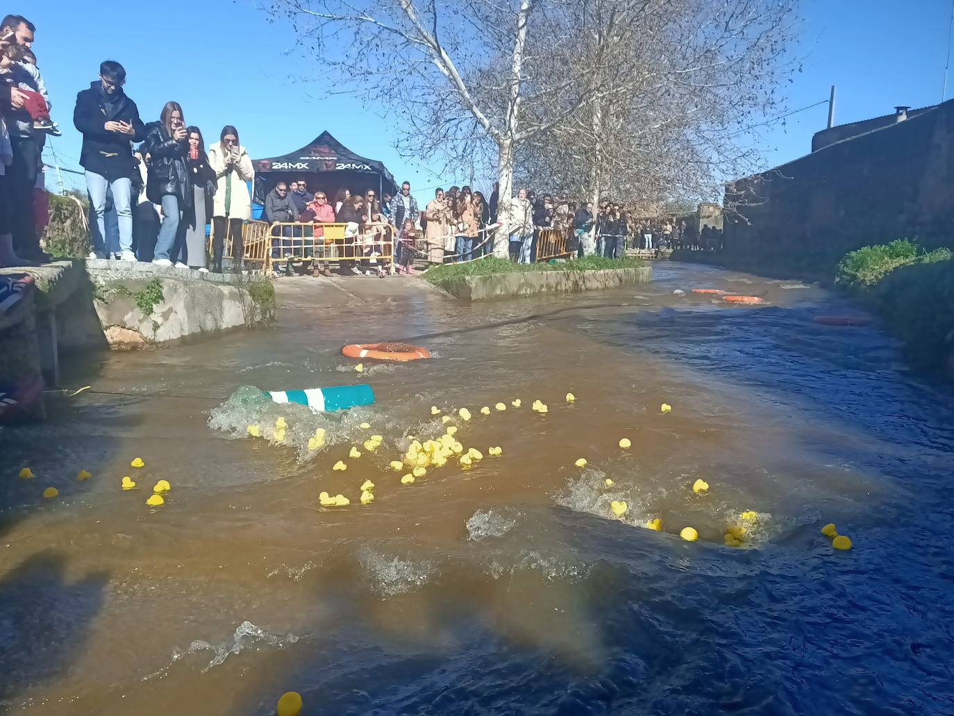 Los patos de goma, en un momento de la carrera por el regato de Cagancha.