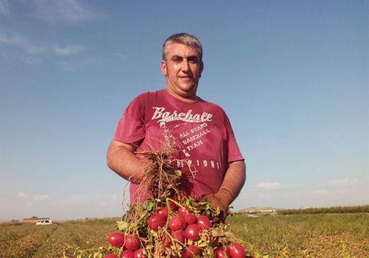 Lorenzo Lozano en una campaña anterior de tomate.