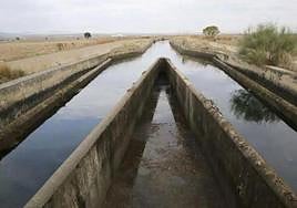 El PSOE tilda de «cortina de humo» las declaraciones de Higuero sobre el regadío de Tierra de Barros