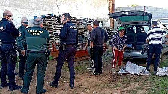 Sorprendido en Aceuchal con 300 kilos de aceitunas sin acreditar su procedencia