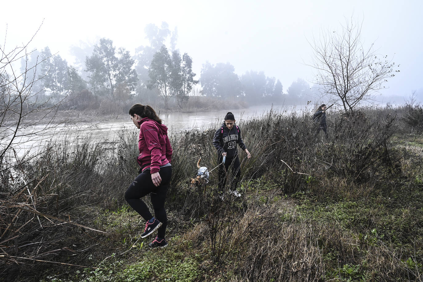 Voluntarios rastrean en los márgenes del rio Guadiana a su paso por la zona conocida como El Pico.