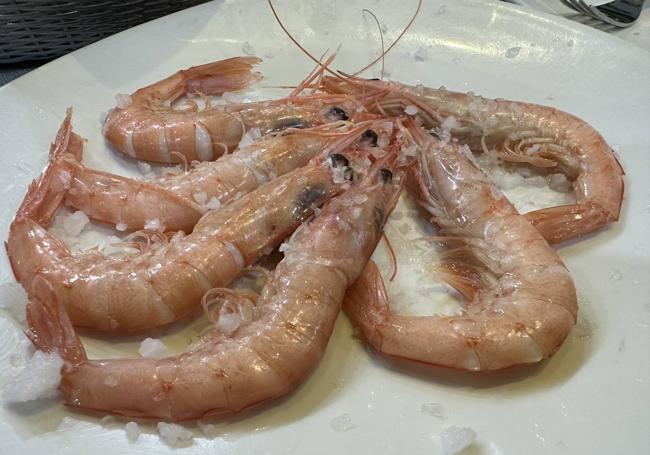 Gambas.