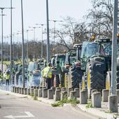 Las cinco claves de las protestas del campo extremeño