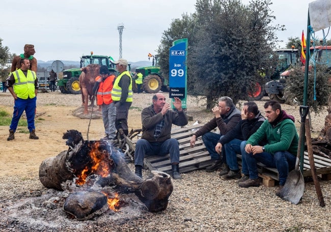 Manifestantes haciendo una barbacoa en Moraleja, cerca de la autovía autonómica A-1.