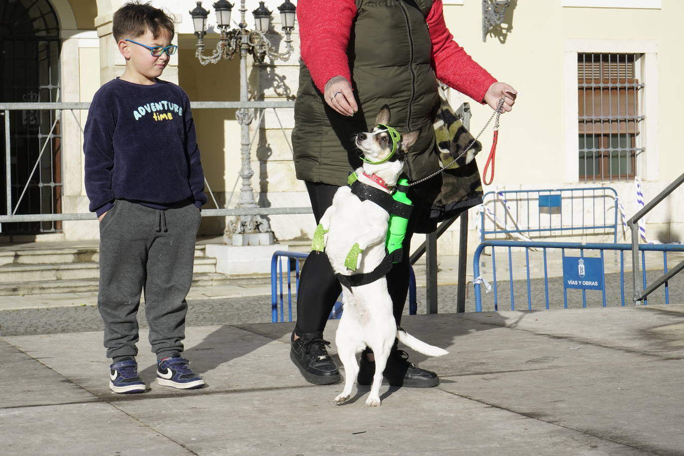 Las mejores imágenes del concurso de disfraces de mascotas del Carnaval de Badajoz