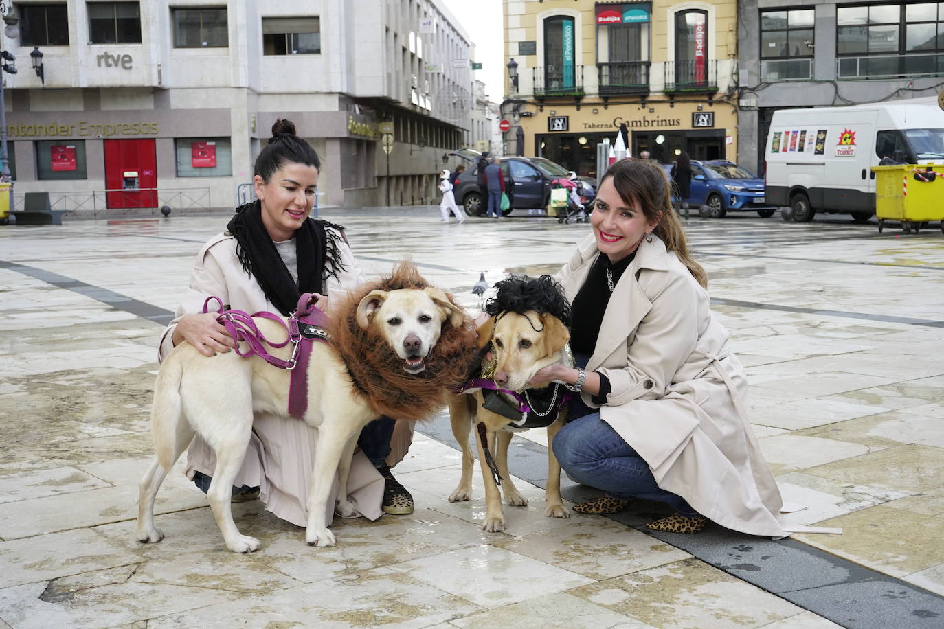 Las mejores imágenes del concurso de disfraces de mascotas del Carnaval de Badajoz