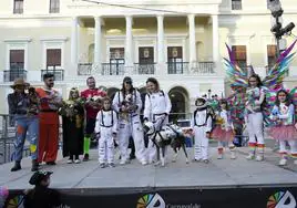 Las mejores imágenes del concurso de disfraces de mascotas del Carnaval de Badajoz