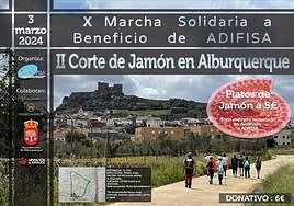 Cartel de la X Marcha Solidaria de Adifisa