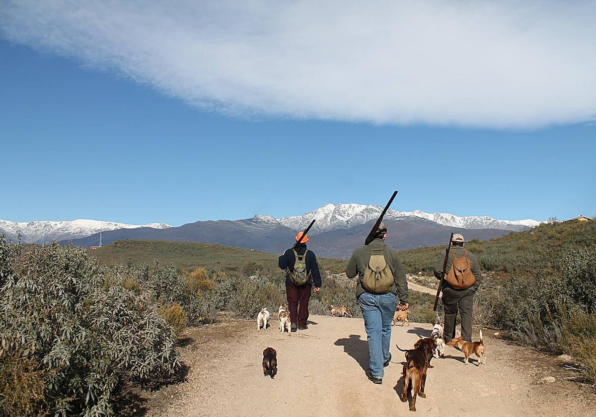 Amigos de caza con sus escopetas y perros