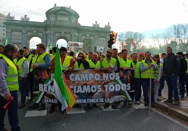 Agricultores extremeños, este miércoles en Madrid.