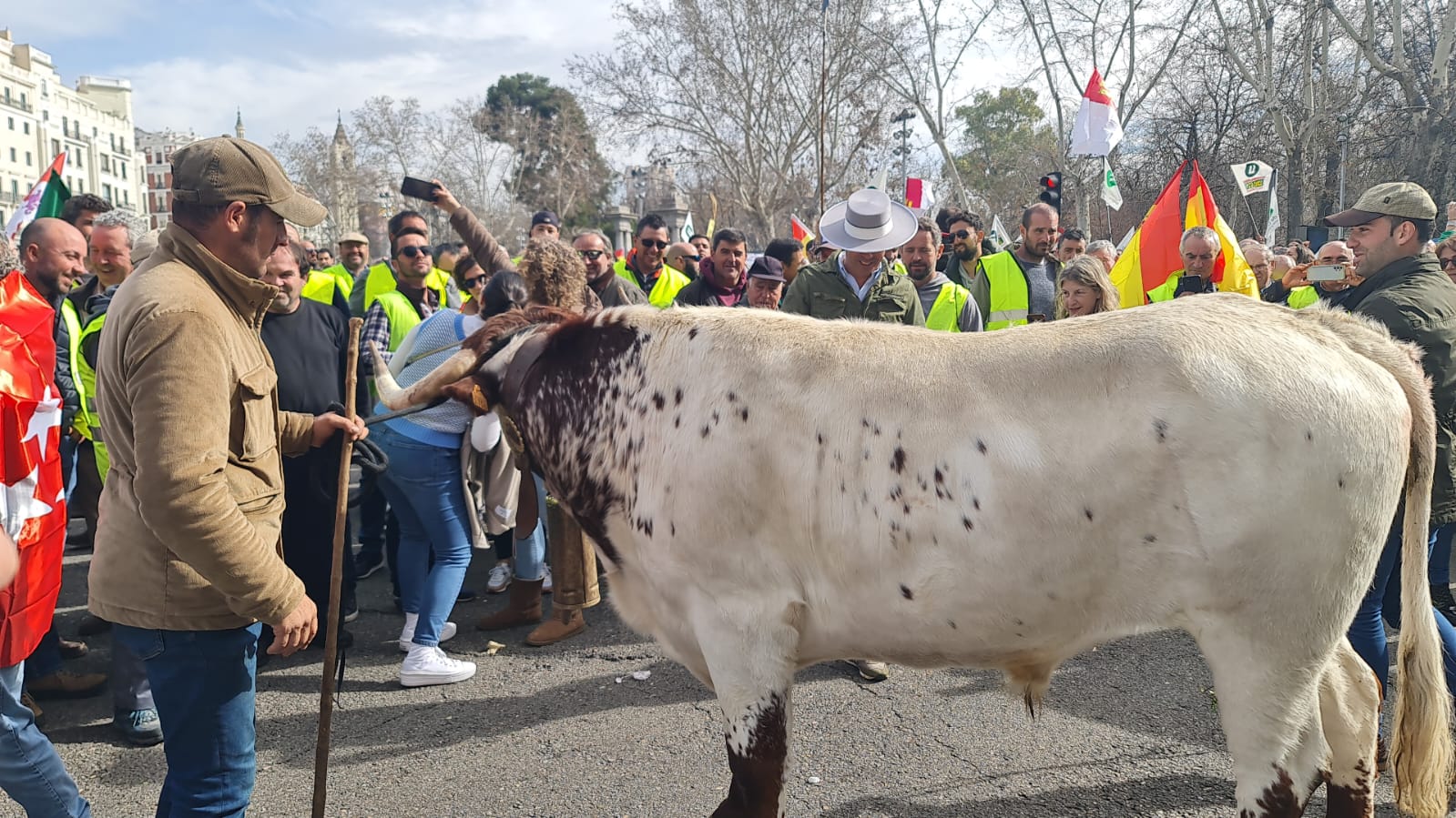 Los agricultores extremeños llevan su protesta al centro de Madrid