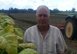 Carlos Martín en su explotación tabaquera.