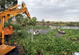 Máquinas retiran camalote en Mérida en una imagen de 2020.