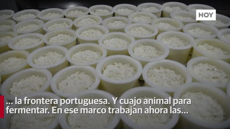 La DO del Queso de Acehúche llega a las veinte mil piezas