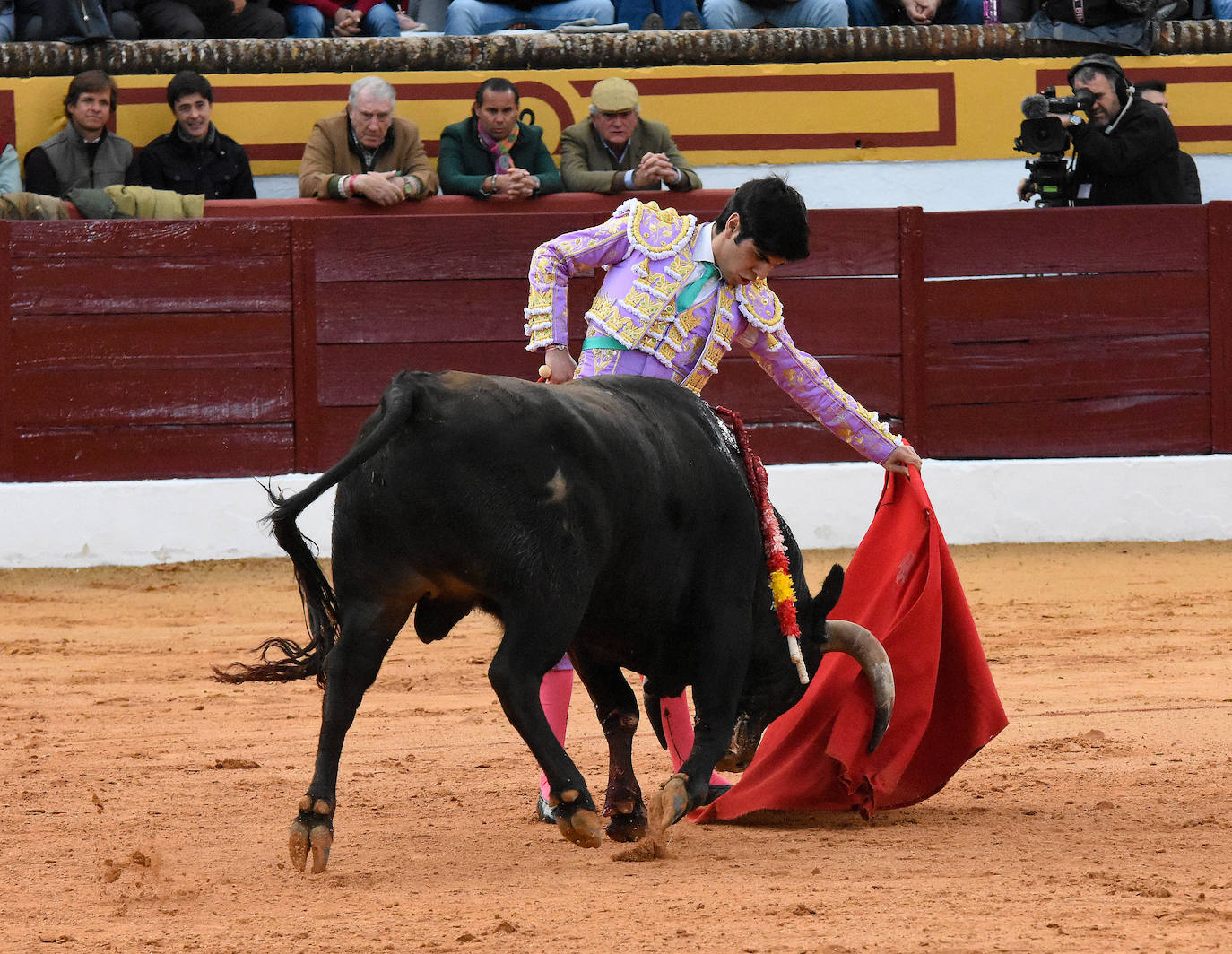 La novillada del viernes en la Feria de Olivenza 2024, en imágenes