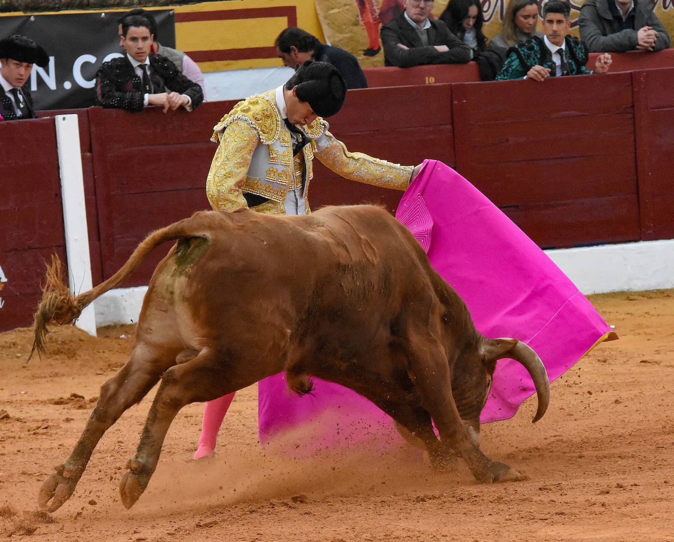 La novillada del viernes en la Feria de Olivenza 2024, en imágenes