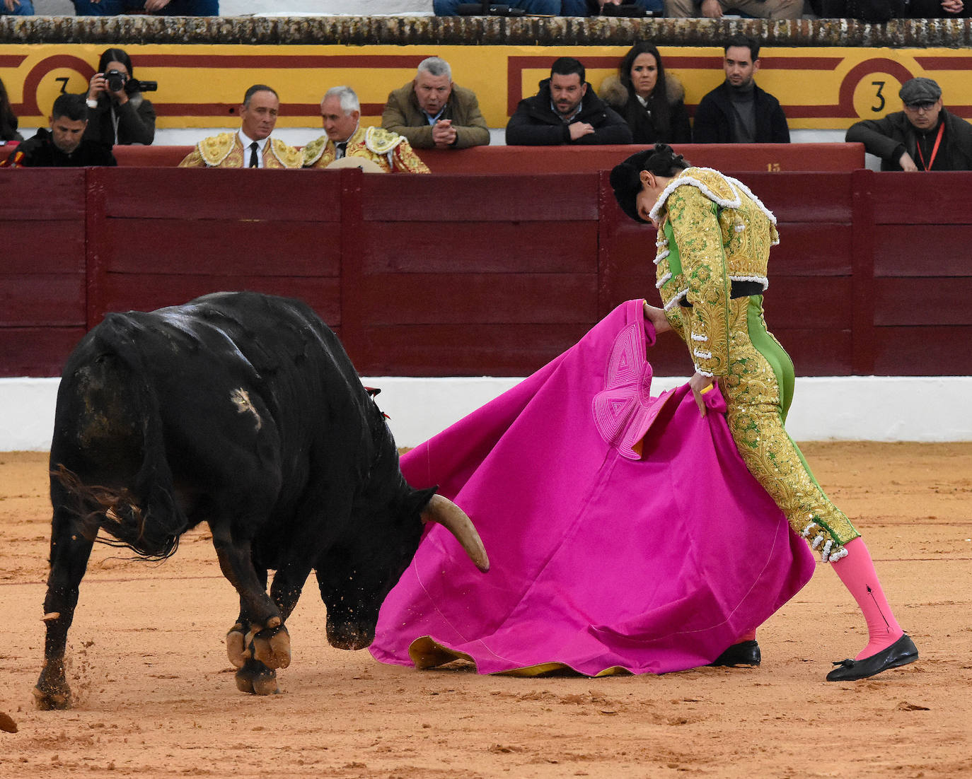 La novillada del viernes en la Feria de Olivenza 2024, en imágenes