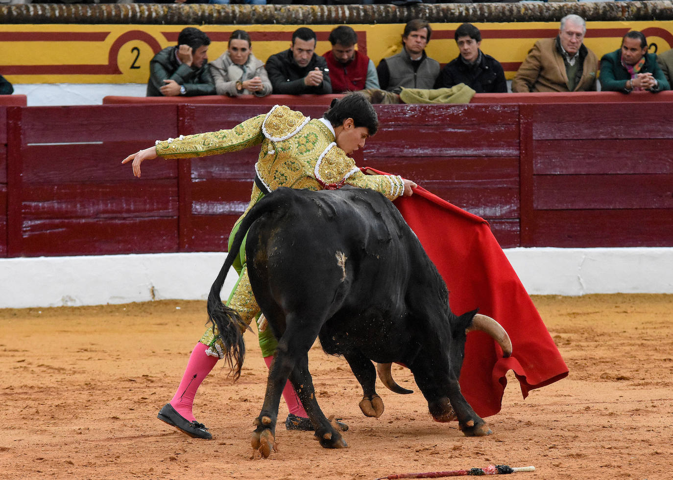 La novillada del viernes en la Feria de Olivenza 2024, en imágenes