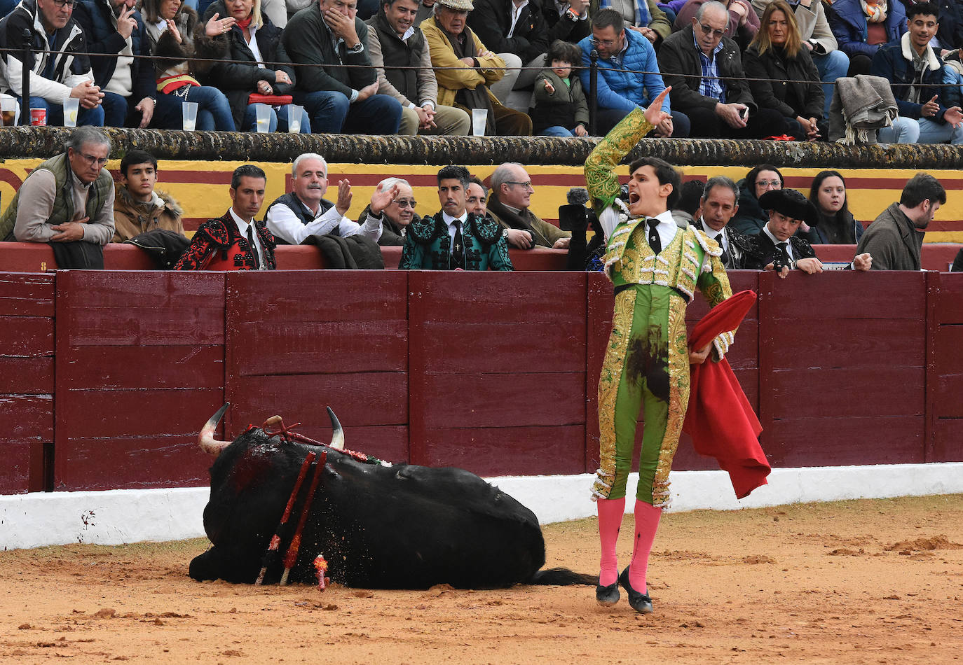 La novillada del viernes en la Feria de Olivenza 2024, en imágenes