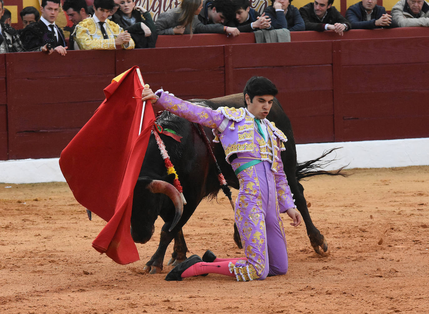 La novillada del viernes en la Feria de Olivenza 2024, en imágenes