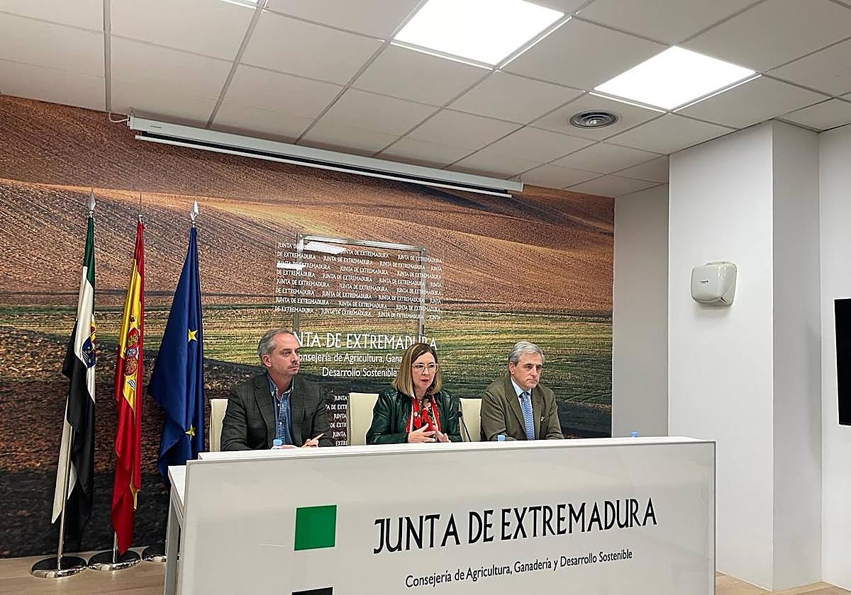 Presentación del plan formativo.