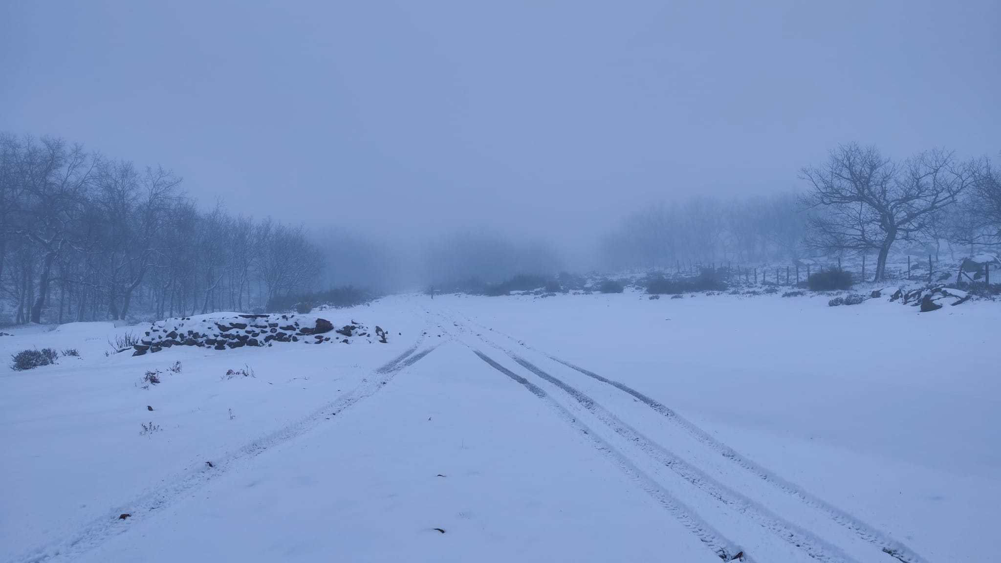 La nieve se ha acumulado en Piornal, unos 5 centímetros, y en los alrededores el espesor podría llegar a los 10 centímetros.