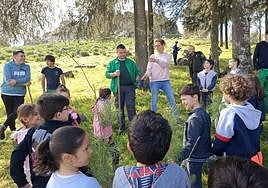 Reforestación del Risco de San Blas