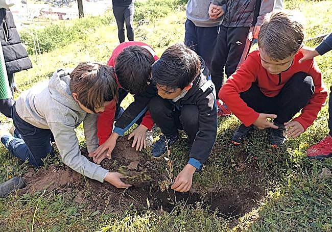 Reforestación del Risco de San Blas