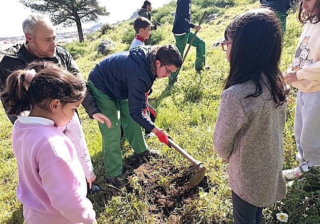 Reforestación del Risco de San Blas