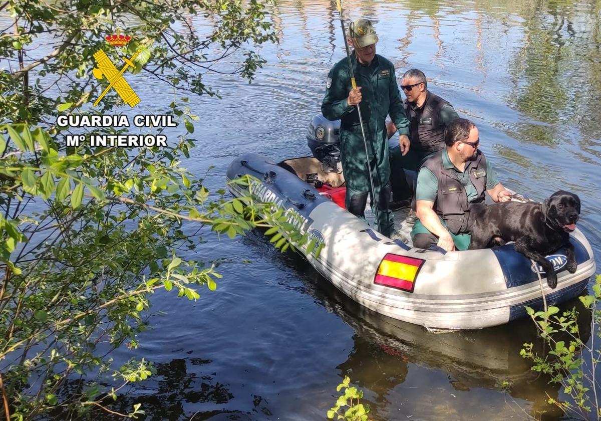 El operativo de búsqueda de este martes para localizar a Fernando Zamora, en imágenes