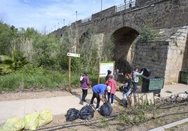Un grupo de voluntarios realiza una batida bajo el primer ojo del Puente de Palmas, donde retiraron 300 kilos de basura.