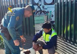 El perro encontrado junto a los agentes de la Guardia Civil