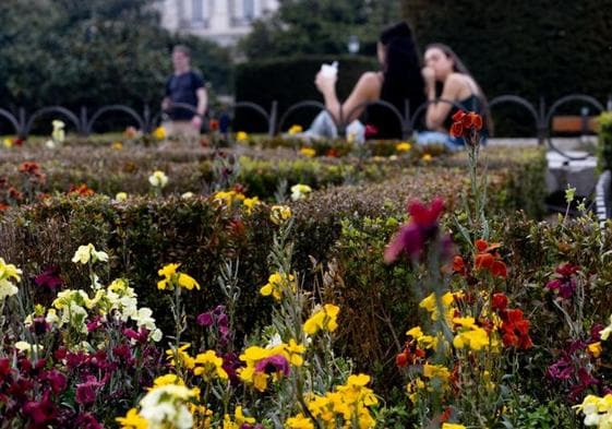 La primaver ha llegado a la región con temperaturas cercanas a los 30 grados.