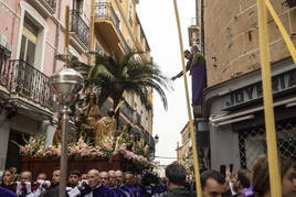 Domingo de Ramos | Miles de cacereños acompañan a la Burrina en Cáceres (II)