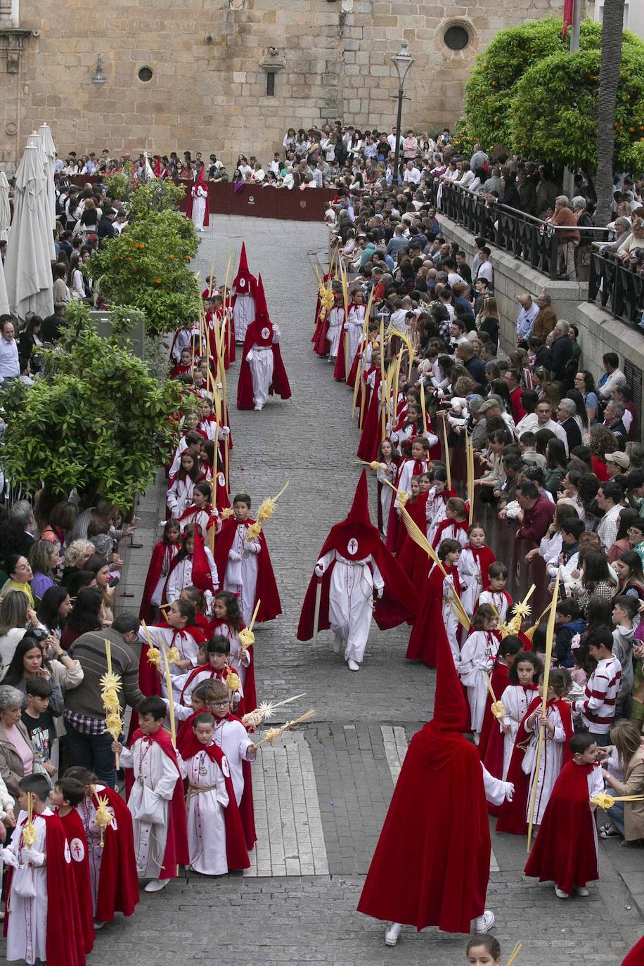Desde la Concatedral ha salido la cofradía Infantil con su paso Entrada de Jesús en Jerusalén.