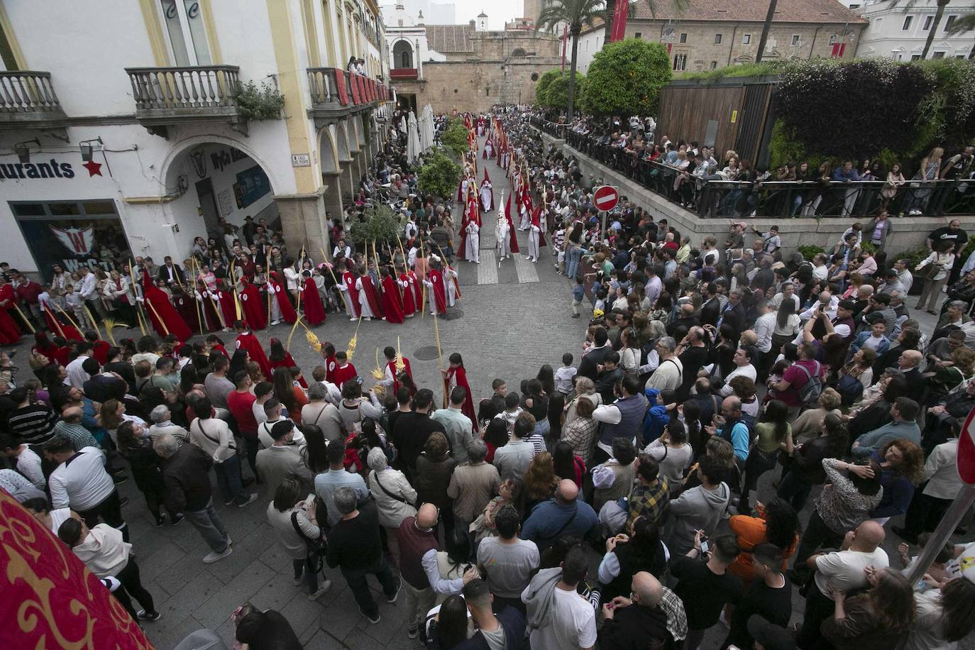 Desde la Concatedral ha salido la cofradía Infantil con su paso Entrada de Jesús en Jerusalén.