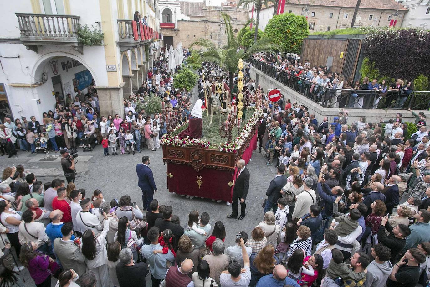 Desde la Concatedral ha salido la cofradía Infantil con su paso Entrada de Jesús en Jerusalén.