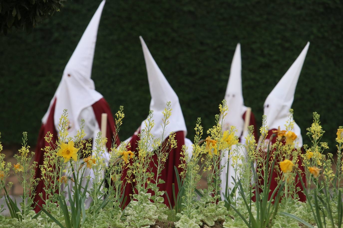Procesión de la Sagrada Cena con Nuestra Señora del Patrocinio en Mérida