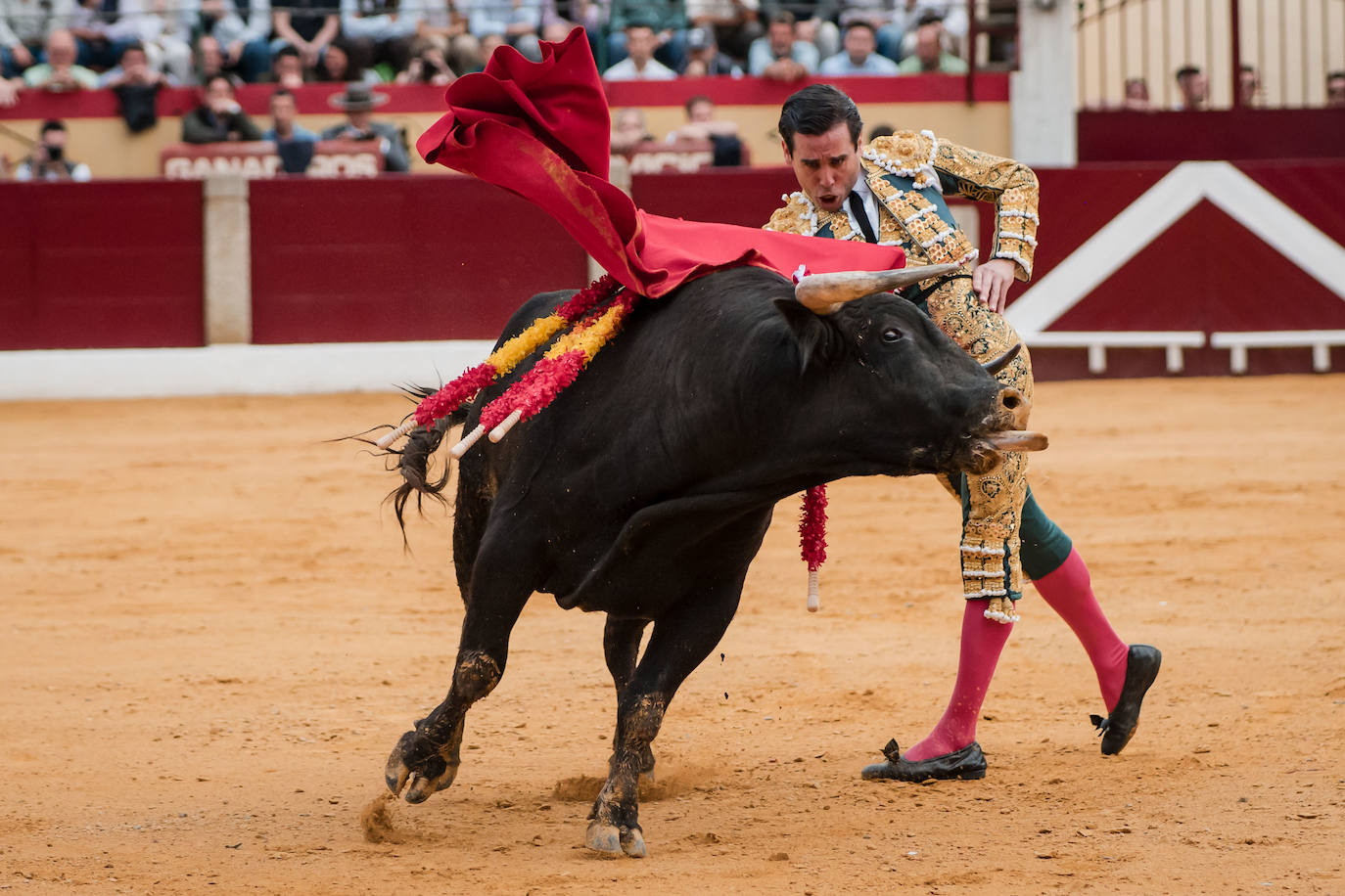 Las mejores imágenes de la corrida de Emilio de Justo, Talavante y Juan Ortega en Almendralejo (I)