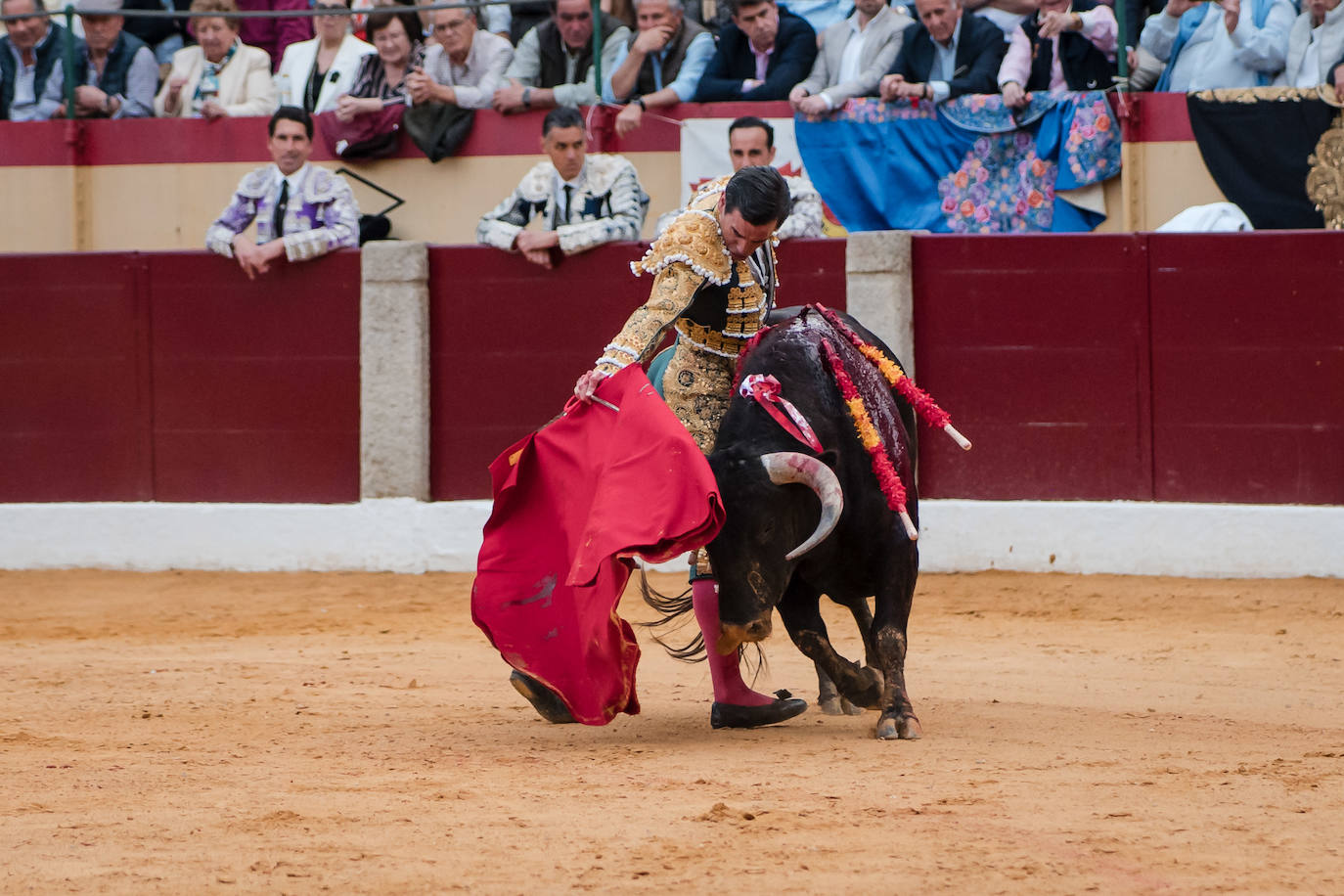 Las mejores imágenes de la corrida de Emilio de Justo, Talavante y Juan  Ortega en Almendralejo (II) | Hoy