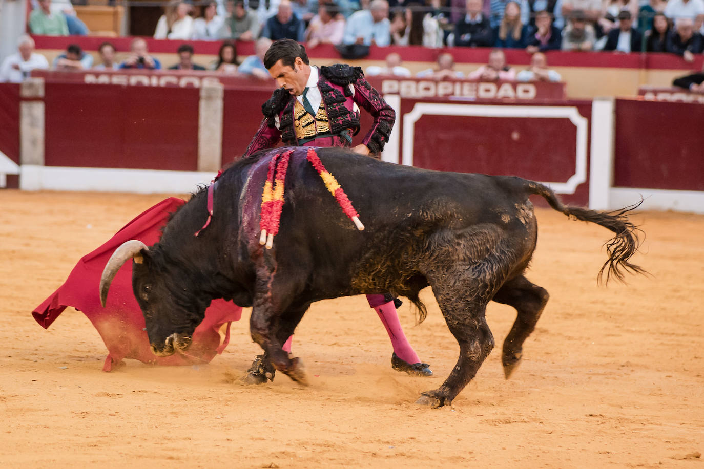 Las mejores imágenes de la corrida de Emilio de Justo, Talavante y Juan Ortega en Almendralejo (II)