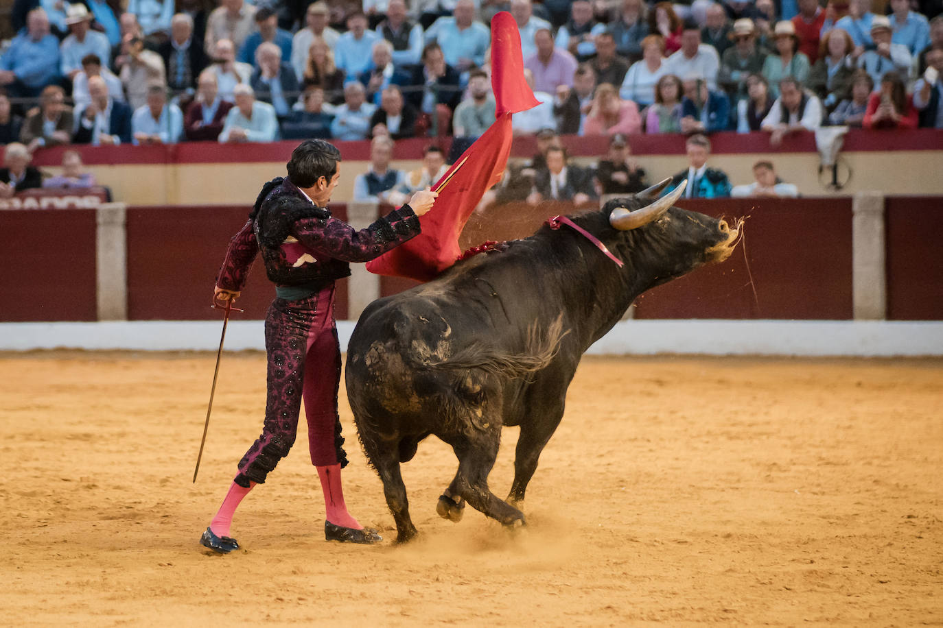 Las mejores imágenes de la corrida de Emilio de Justo, Talavante y Juan Ortega en Almendralejo (II)