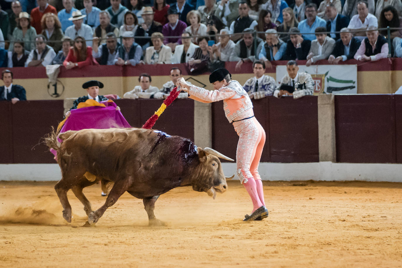 Las mejores imágenes de la corrida de Emilio de Justo, Talavante y Juan Ortega en Almendralejo (II)