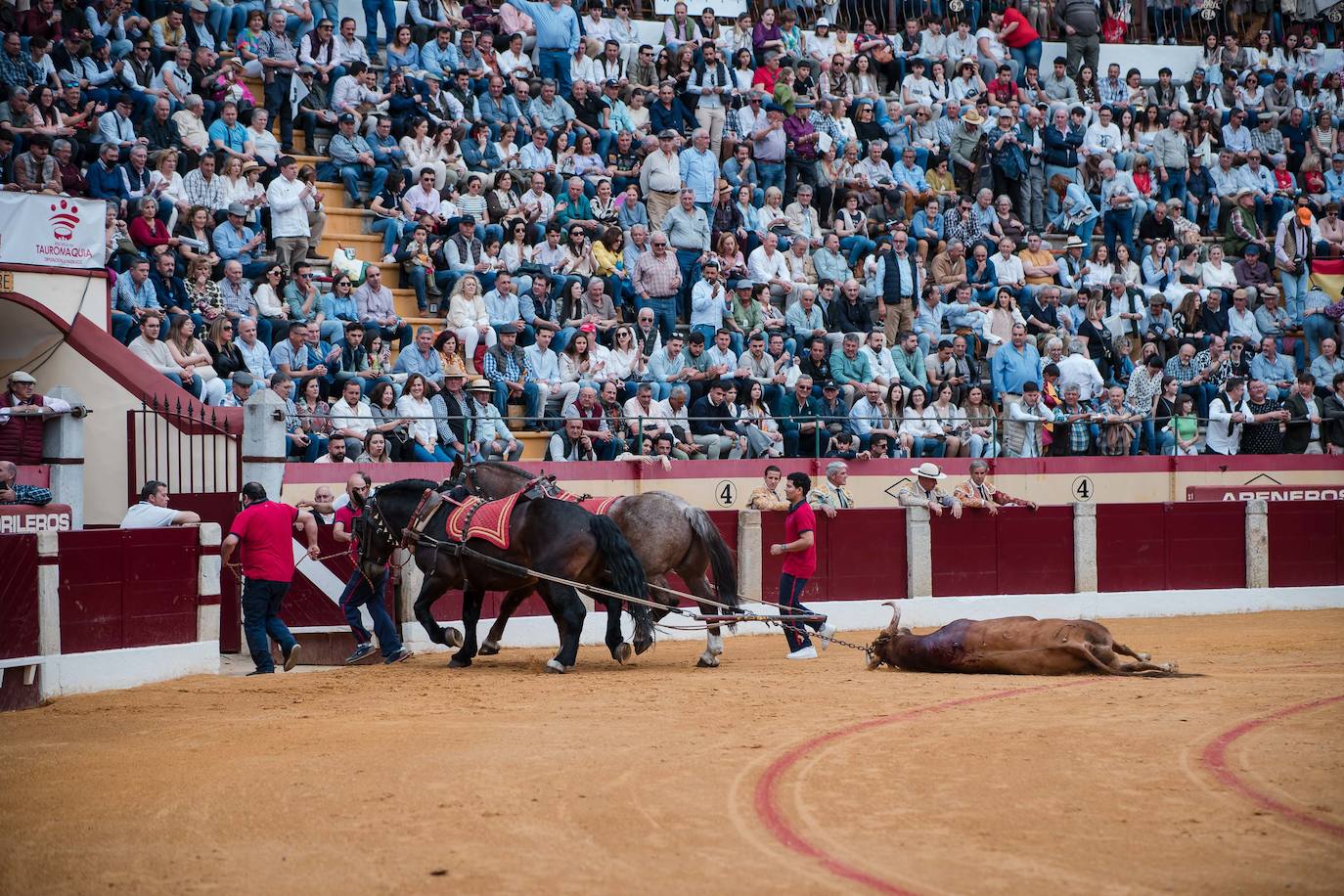 Las mejores imágenes de la corrida de Emilio de Justo, Talavante y Juan Ortega en Almendralejo (I)