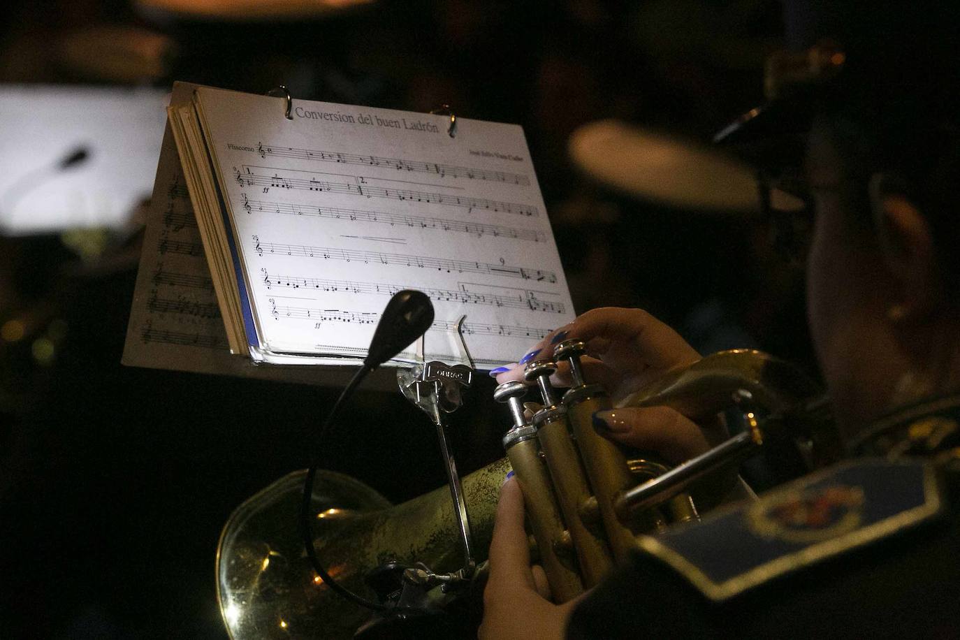 Fotos de la procesión del Lunes Santo en Mérida (I)