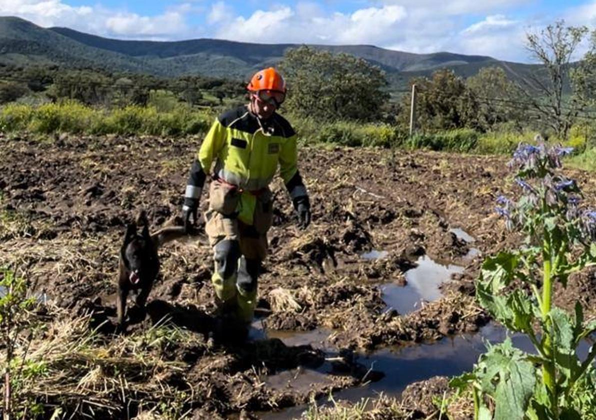 La unidad canina de los bomberos de la Diputación de Cáceres busca a José Gómez.