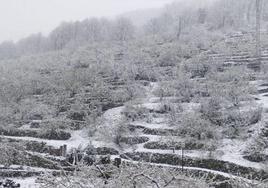 La borrasca deja este domingo más agua, nieve, viento y carreteras cortadas