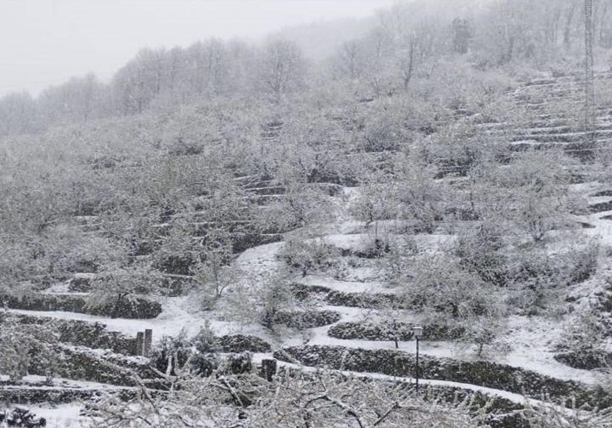 Nieve en Extremadura