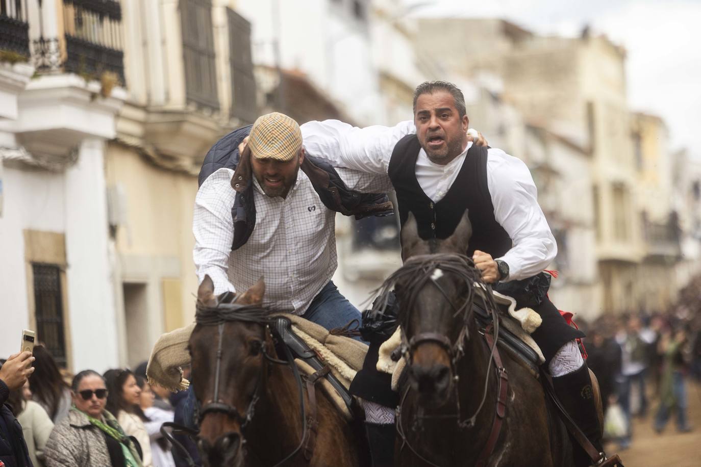 Las mejores imágenes de las carreras de caballo de Arroyo de la Luz (II)